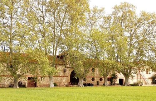 Fourques Casa | La cave de Grand Cabane