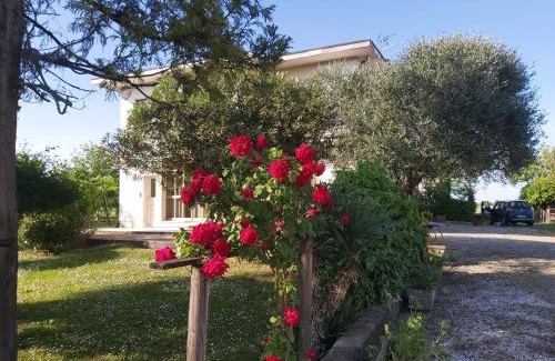 Montegaldella Apartamento | La Celeste a Montegaldella -VI - Italia