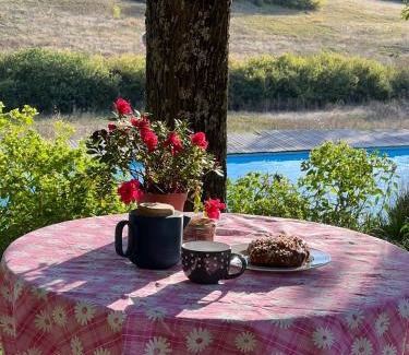 Lautrec Cama Y Desayuno | La chambre du cantou