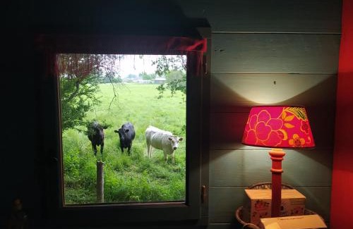 Olivet Cama Y Desayuno | La Chaussee d'Olivet en Mayenne