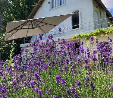 Auvers-sur-Oise Casa | LA CHERIELLE