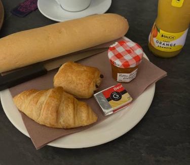 Panissieres Apartamento | La Cigogne
