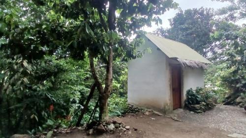 Santa Marta Otro | La Cima Tayrona