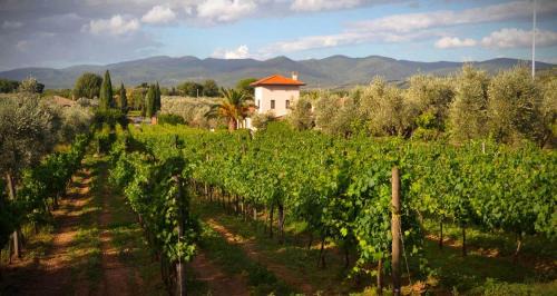Castagneto Carducci Casa | La Cipriana