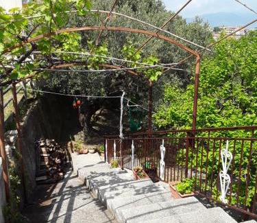 Centola Cama Y Desayuno | La Collina su Palinuro