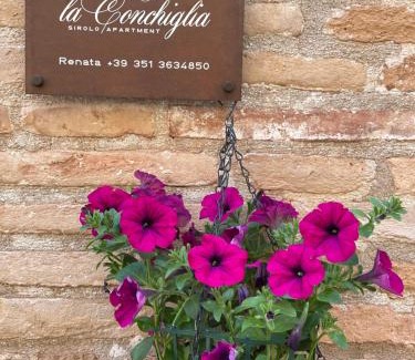 Sirolo Apartamento | LA CONCHIGLIA - Sirolo Suite