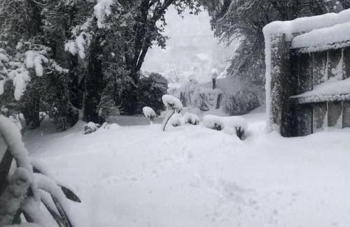 San Martín de los Andes Casa | La Conecita
