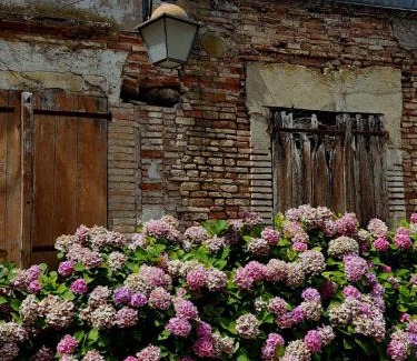Gaillac Casa | La Cour Verte