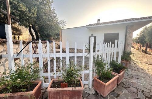 Castel Di Tusa Casa | La Dimora degli ulivi