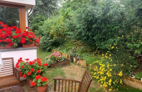 Monzuno Apartamento | La dimora di Dafne 48