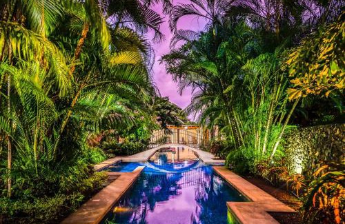 Playa Langosta Apartamento | La Esquina (3 minutes from Beach, perfect for a family getaway)