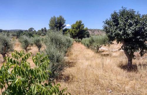 Al-Mafraq Casa | LA Farm