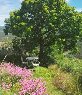 Saint-Andre-de-Rosans Cama Y Desayuno | La Ferme de la Condamine