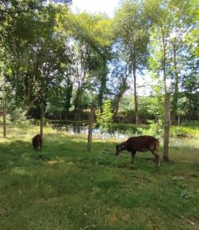 Plouer-sur-Rance Complejo | La Ferme de Merlin