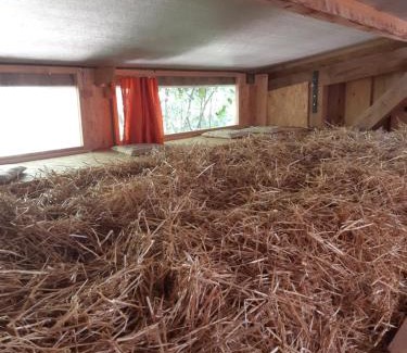 Porrentruy Casa | La Ferme du Bonheur - Chez l'Gaby