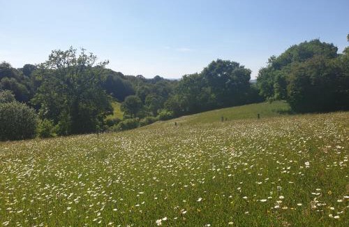 Saint-Jean-d'Elle Cama Y Desayuno | La fermette - chambres d'hôtes dans environnement calme et arboré