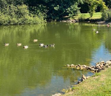 Savigny-Levescault Casa | La Fermette Aux Canards
