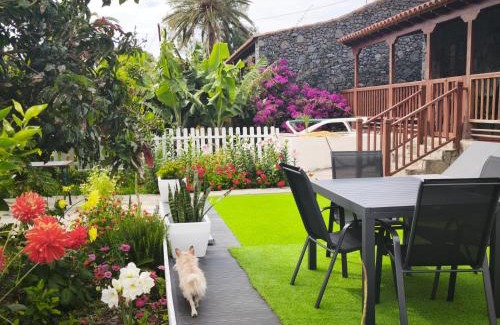 Alojera Casa | La Finca De Victoria Alojera