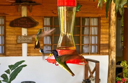 Canaveral Hostal | La Finca Lorena Tayrona