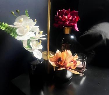 Flagy Casa | La Fleurangeraie - L'Orchidarium