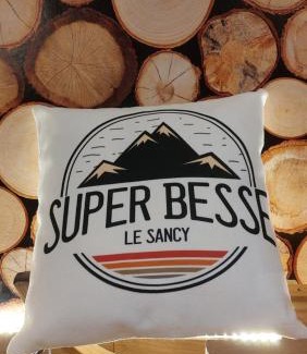Besse-et-Saint-Anastaise Apartamento | La forêt des Marmottes
