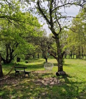 Bergerac Apartamento | La Forestine