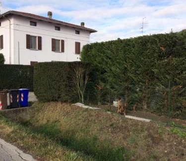 Torrile Cama Y Desayuno | La Fossetta B&B