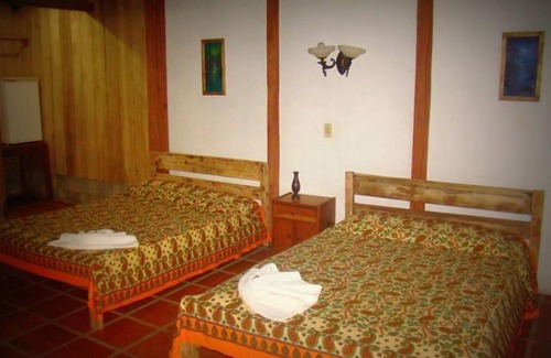 Quebrada La Gamba Cabina | La Gamba Rainforest Lodge