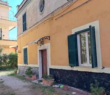Marino Casa | la gatta bianca