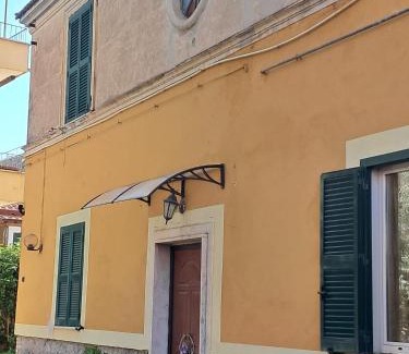 Marino Casa | la gatta bianca