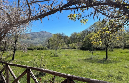 Raffo Cabaña | La Gisamia. Naturaleza pura.