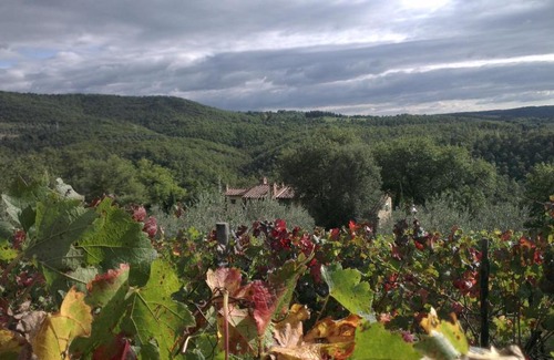 Po' Bandino Casa | La Giuiaia - Agriturismo Azienda Agricola