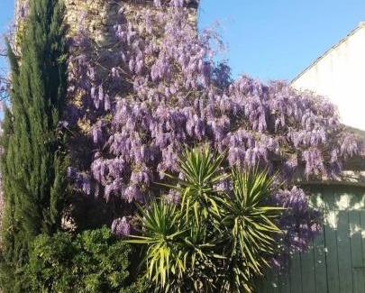 Aigues-Vives Apartamento | La Glycine