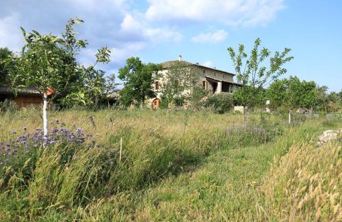 Courry Casa | La Gourmandine