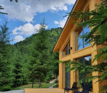 Bistrita Bargaului Chalet De Esquí | La hambare