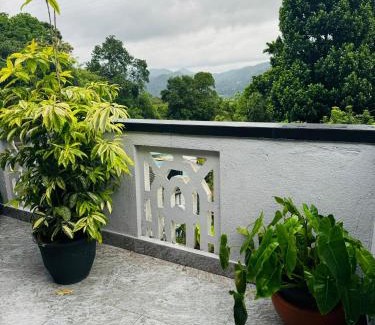 Peradeniya Casa | La Isla Homestay