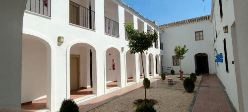 San Basilio Apartamento | La Jⲟya de los Patios - Apartamentos Turísticos