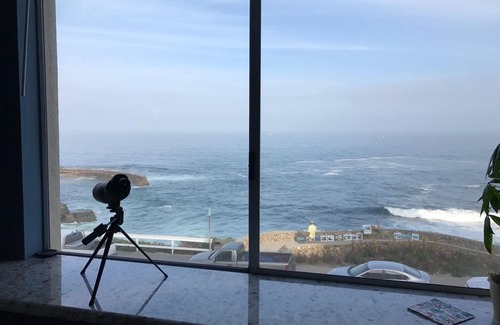 Village of La Jolla Condominio | La Jolla Oceanfront Condo