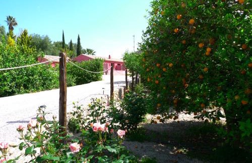 Villanueva del Río Segura Apartamento | La Joya del Valle de Ricote