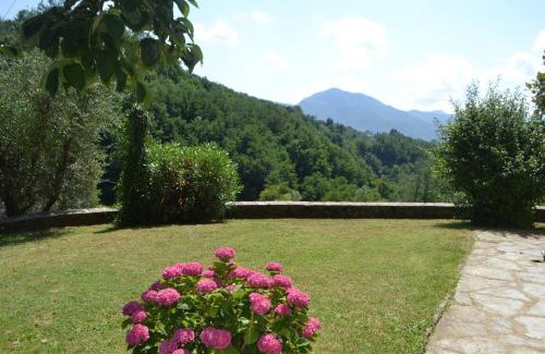 Barga Casa | La Limonaia di Casagrande