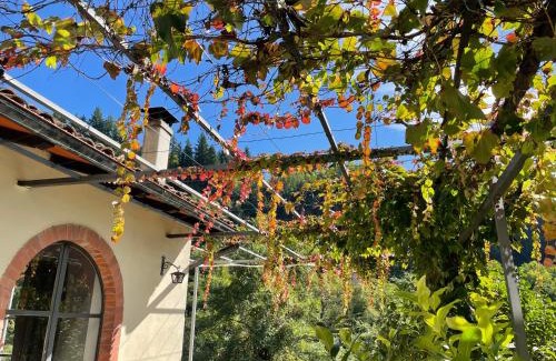 Barga Casa | La Limonaia di Casagrande