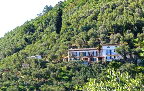 Vicopelago Casa | La Lucertola