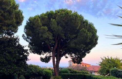 Ceriale Casa | La Luna e il faló