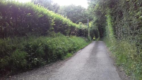 Saint-Sylvestre-de-Cormeilles Cama Y Desayuno | La martre
