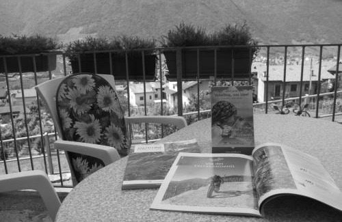 Villa di Tirano Apartamento | La Madonnina