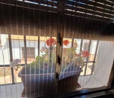 Casabermeja Casa | La madrileña