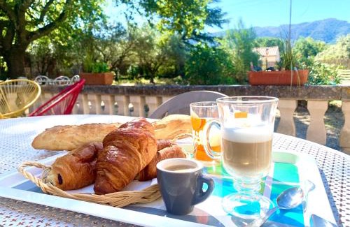 Oppede Casa | La maison aux oiseaux - Luberon