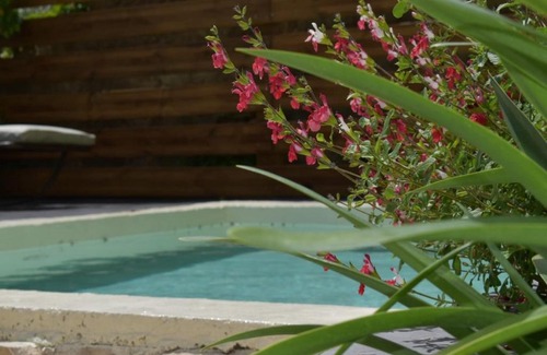 Pourrieres Casa | La Maison Bourgeoise - adults only