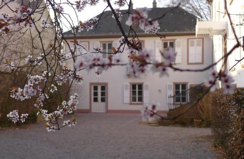 Wolxheim Apartamento | La Maison Carré