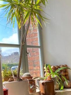 Plouer-sur-Rance Casa | La Maison de Mano